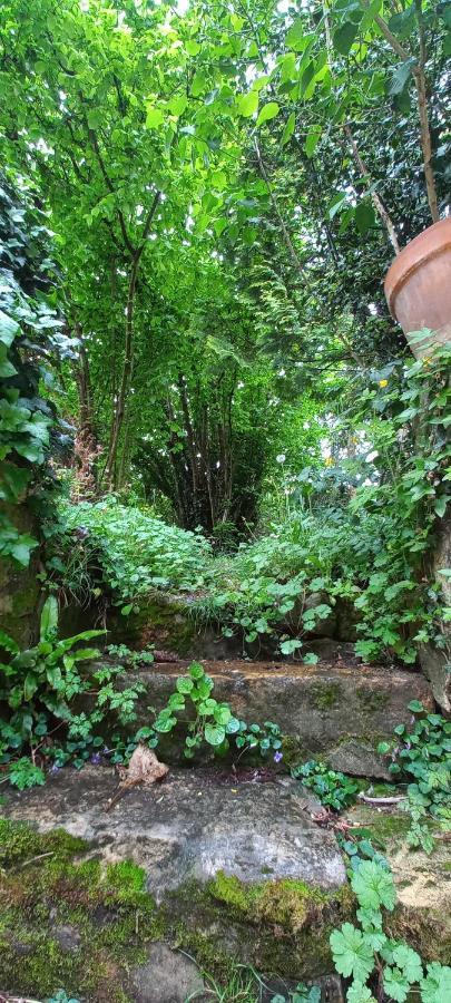 Villa Marguerite Terrasse & Garage Belvès Dış mekan fotoğraf