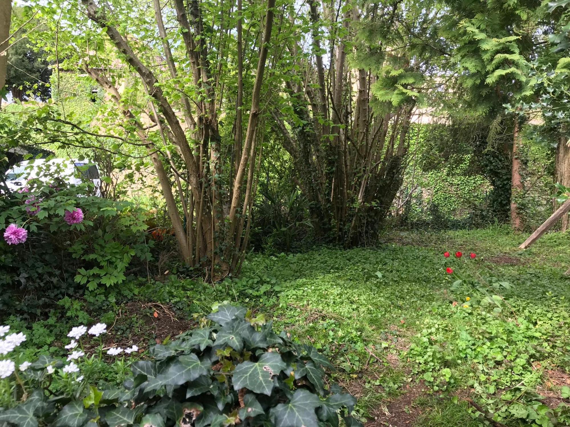 Villa Marguerite Terrasse & Garage Belvès Dış mekan fotoğraf
